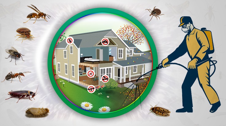 Seyitgazi Böcek İlaçlama