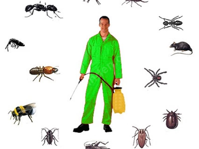 Seyitgazi Böcek İlaçlama